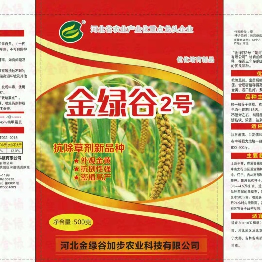 衡水小米种子 浅黄皮黄米谷种金绿谷2号矮杆抗倒伏