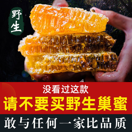 石柱土蜂蜜  正品蜂蜜正宗蜂蜜纯正天然成熟蜂蜜500g