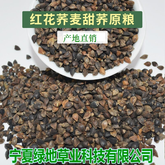 长沙荞麦种子甜荞麦优质畜禽饲料荞麦皮可做枕头填充物