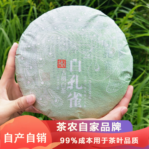 长沙古树茶  2020年冰岛普洱生茶白茶白芽密布冰糖回甘甜