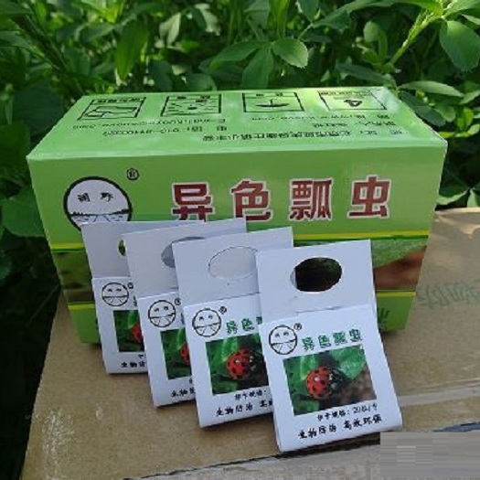 北京生物防治虫 异色瓢虫卵卡、龟纹瓢虫卵卡、防治蚜虫木虱蚧壳虫