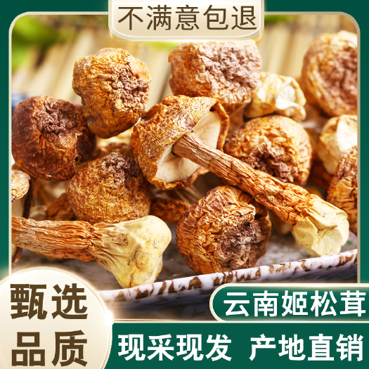 瑞丽市 姬松茸干货云南土特产野生菌菇松茸菇100g包邮