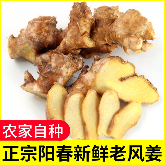 阳春市阳春正宗2年风姜