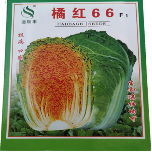 济南橘红66大白菜种子红芯大白菜抗病生食细嫩早熟京研80黄心种籽