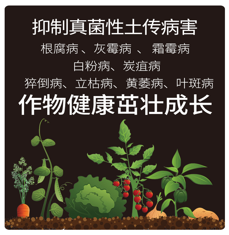 重茬剂  改善土壤改良剂 哈茨木霉菌微生物菌剂 防土传病菌肥