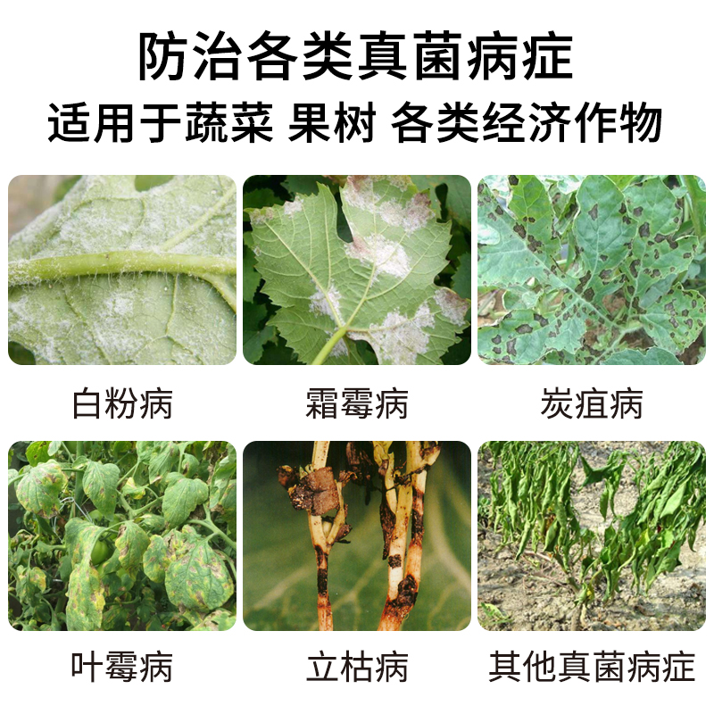 重茬剂  改善土壤改良剂 哈茨木霉菌微生物菌剂 防土传病菌肥