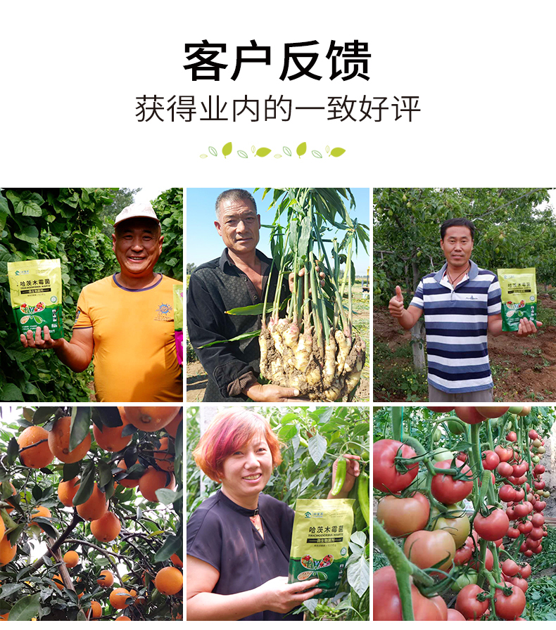 重茬剂  改善土壤改良剂 哈茨木霉菌微生物菌剂 防土传病菌肥