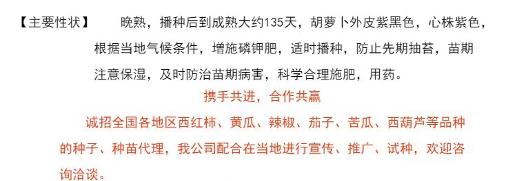 紫胡萝卜种子 荷兰bejo艳紫胡萝卜种籽孑高产紫黑特色萝卜种子原装胡萝卜种