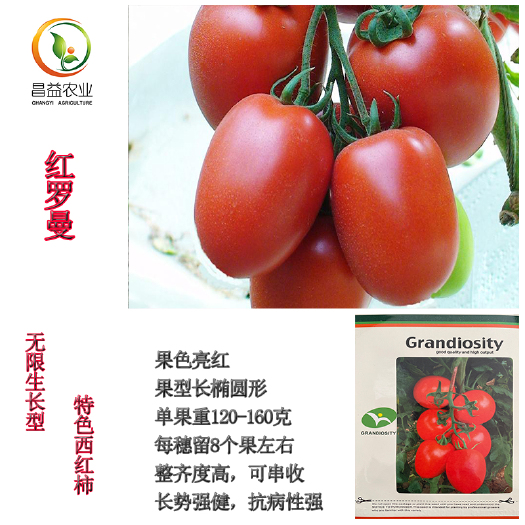 寿光市樱桃番茄种子 红罗曼特色番茄种籽孑高产大红色串收水果西红柿种子抗病强番茄苗