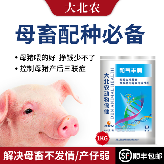 诸城市饲料添加剂  大北农盐酸大观盐酸林可可溶性粉和气丰利防治母猪产后感