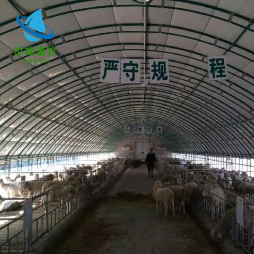 宁津县 养牛大棚建设