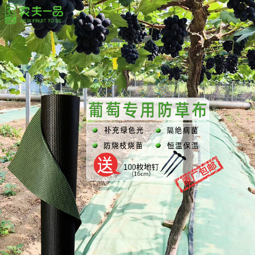 东莞市生态防草布除草布葡萄防草地布农用保湿保肥