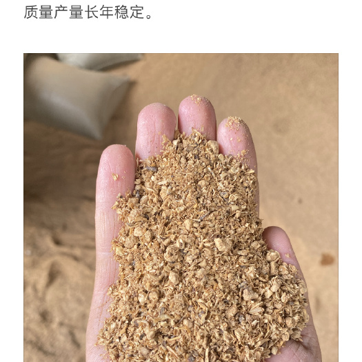 滕州市糠麸类饲料  牛羊饲料原料 厂家直供烘干金针菇菇渣 带检测报