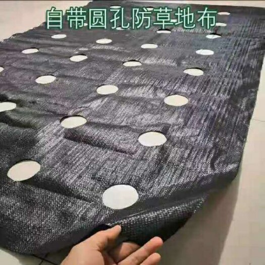 德州多孔果园防草布多少钱一平 - 果园防草布多少钱一平批发价格