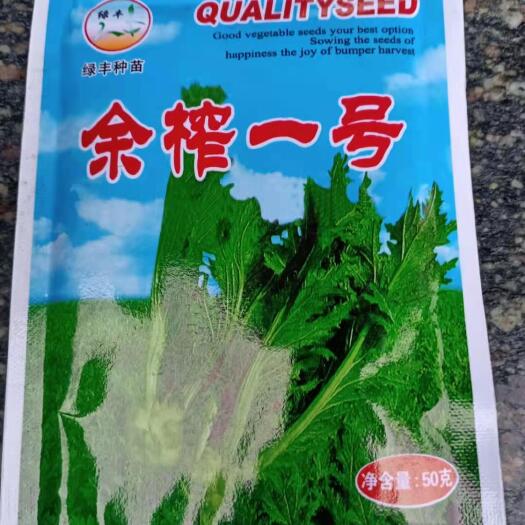杭州芥菜种子  大量供应优质榨菜种子
