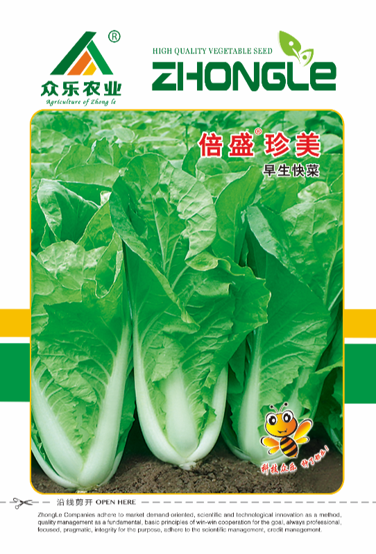  云南小白菜种子快菜种子——无毛刺，叶帮白，外叶绿，叶片厚