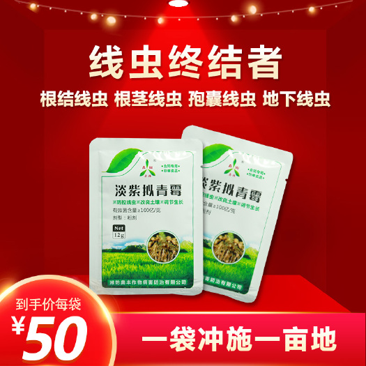 潍坊 淡紫拟青霉微生物菌剂根结线虫地下线虫孢囊线虫