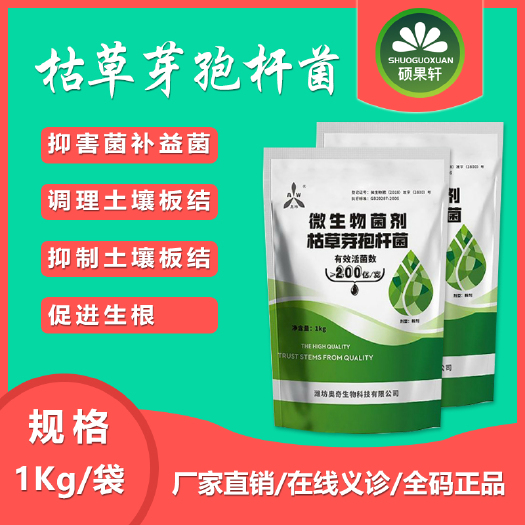 潍坊 枯草芽孢杆菌调土壤促生根枯萎根腐青枯蔓枯病