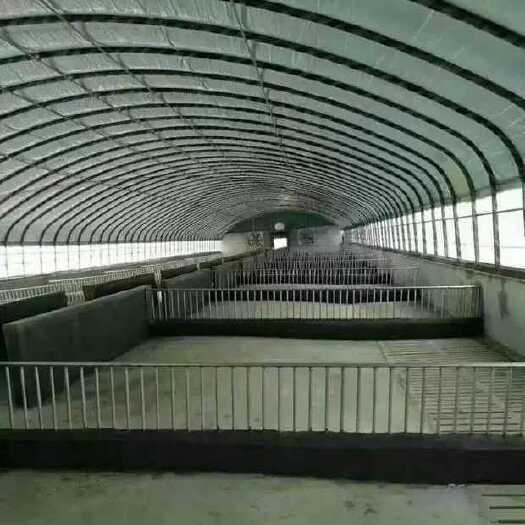 沭阳县椭圆管钢管大棚钢架蔬菜大棚骨架养殖大棚骨架温室大棚养鸡舍大棚