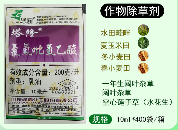 南京塔隆200克/升氯氟吡氧乙酸空心莲子草一年生阔叶杂草除草剂
