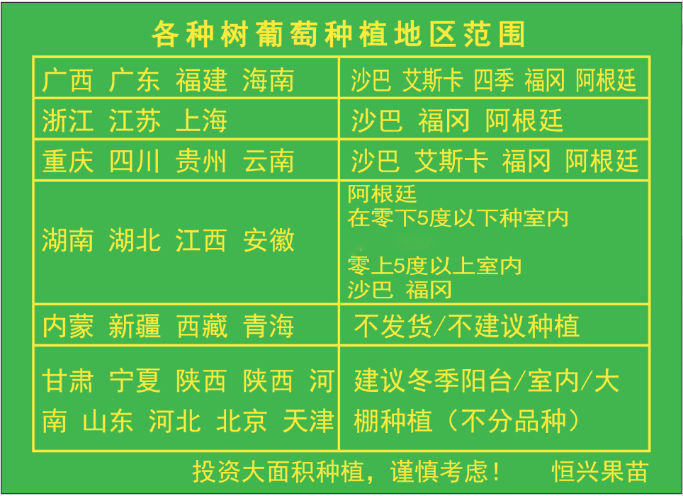 阿根廷嘉宝果苗杯苗树葡萄苗 果实口感甜美 营养价值高