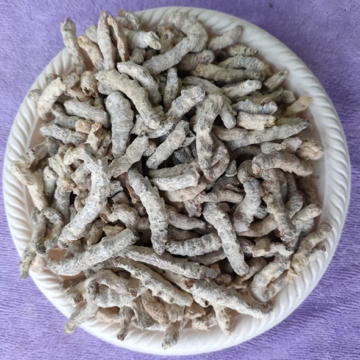 广州 生僵蚕 优选水洗蚕 制天虫