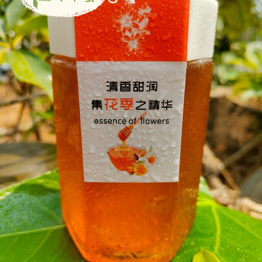 瑞丽市缅甸天然益母草蜂蜜 土蜂蜜 蜂蜜批发 非浓缩 可视频了解