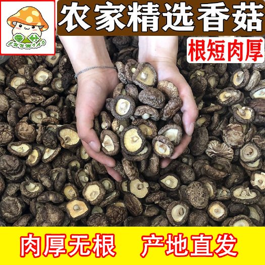 古田县椴木菇  精品农家香菇500g产地直批剪角椴木无根肉厚烘干冬菇包邮