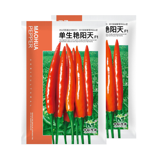 青县 中科茂华蔬菜种子单生艳阳天朝天椒种子超辣指天椒干鲜两用
