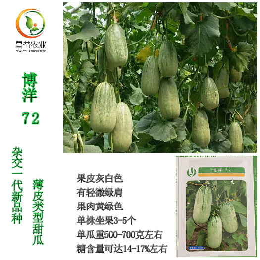 博洋甜瓜种子 德瑞特博洋72羊角蜜甜瓜种籽孑薄皮甜脆羊角蜜香