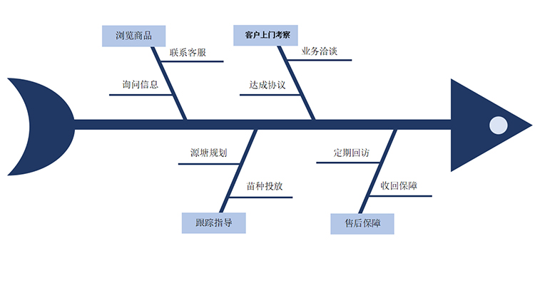  鯉魚苗2-3cm批發(fā)  產(chǎn)地直銷  運(yùn)輸損耗包賠