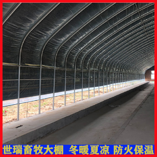 宁津县养殖大棚 肉鸡大棚搭建全封闭保温肉鸡大棚建设