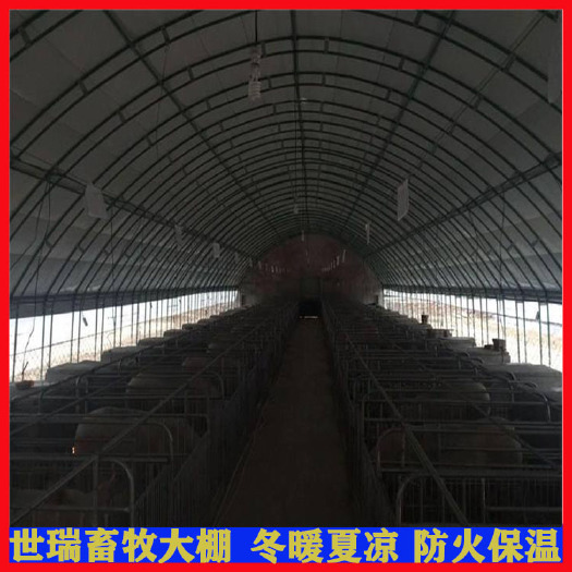 宁津县 养牛大棚建设抗风雪保温养牛棚