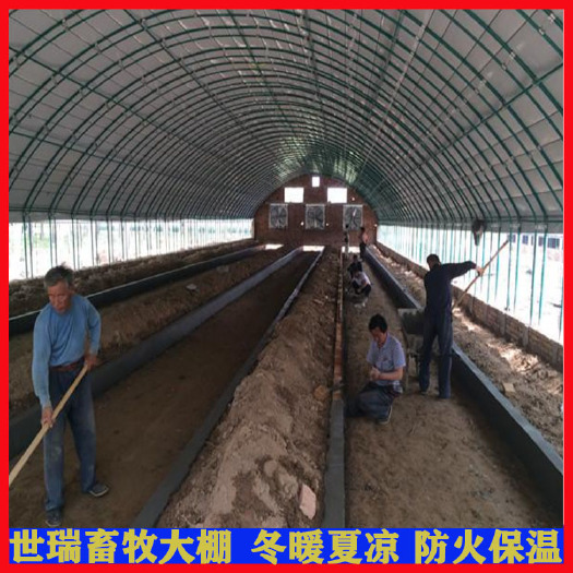 宁津县 搭建标准养羊大棚保温防锈羊棚