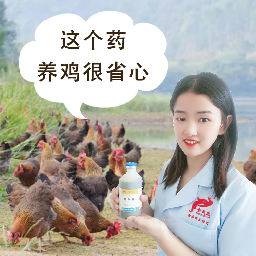 郑州饲料添加剂  禽泰克鸡鸭鹅鸽家用抗病毒流感新城疫鸡瘟鸡病重症通杀鸡大全