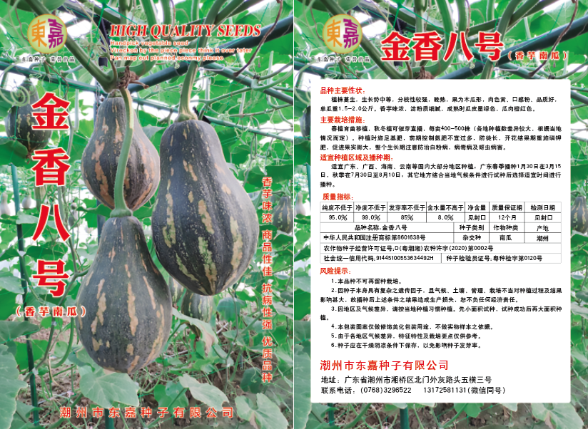 《优质品种》金香八号香芋南瓜种子，香芋味浓，产量高，瓜形美观