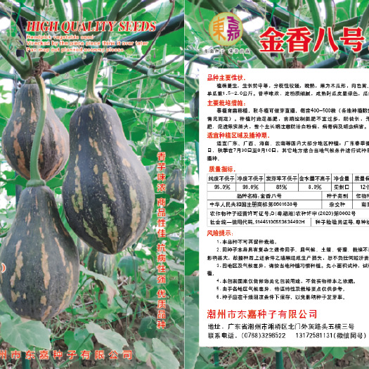潮州《优质品种》金香八号香芋南瓜种子，香芋味浓，瓜形美观。
