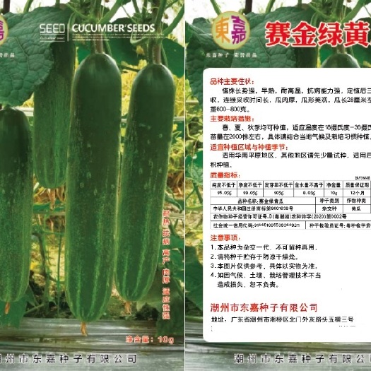 广东潮州《优质品种》赛金绿黄瓜种子，连续高温可正常结瓜，瓜皮不会变白