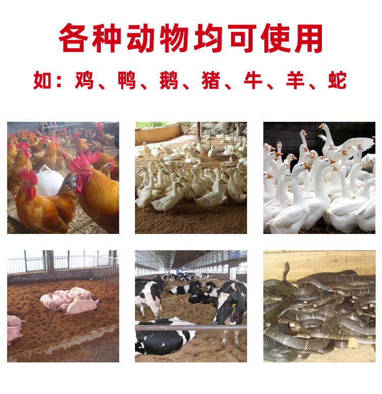 發(fā)酵床專用菌劑  飼料添加劑  干撒發(fā)酵床菌種無臭養(yǎng)雞養(yǎng)豬牛