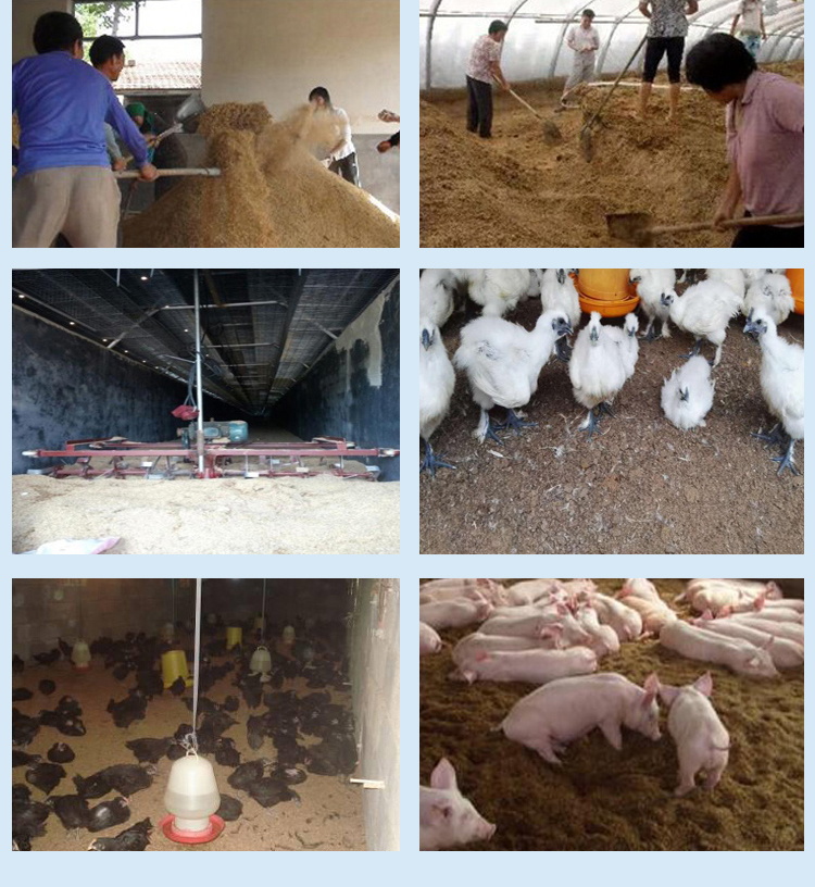 發(fā)酵床專用菌劑  飼料添加劑  干撒發(fā)酵床菌種無臭養(yǎng)雞養(yǎng)豬牛