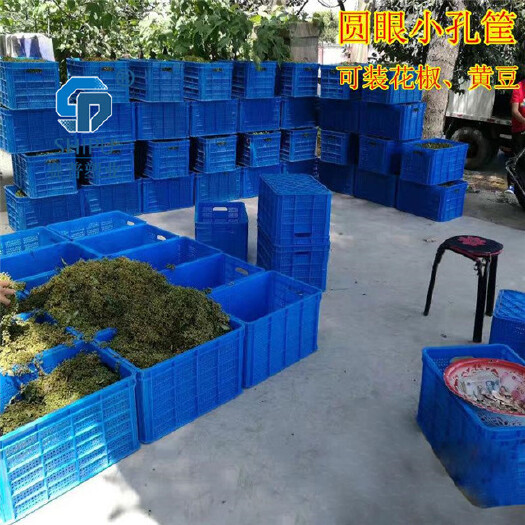 重庆市塑料筐 能装30-40斤的干鲜花椒筐小圆眼黄豆筐蘑菇筐耐磨耐摔