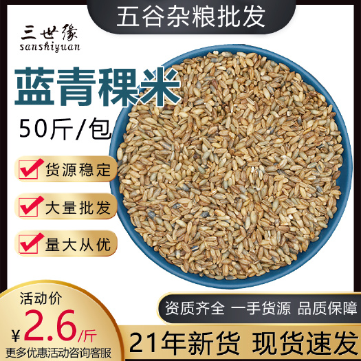 上海 蓝青稞米新品青稞米蓝白黑三色去壳青稞杂粮厂家零售OEM批发散