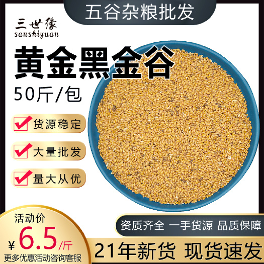 稻谷 黄金黑金谷 沙域黑金谷黄酮含量高五谷杂粮厂家批发散装