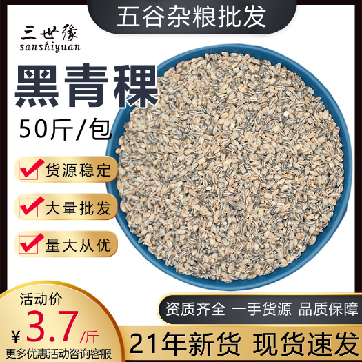 上海 黑青稞米新品青稞米杂粮厂家零售蓝白黑三色去壳青稞OEM批发散