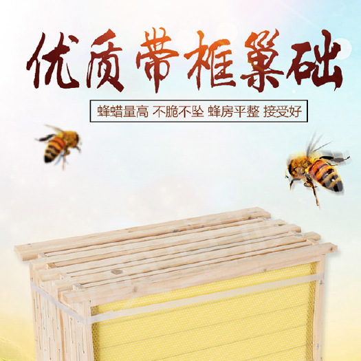 长葛市 成品巢框蜂巢中蜂意蜂杉木巢基蜜蜂巢框养蜂工具蜂箱包邮