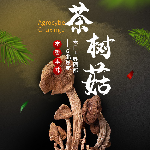 恩施市恩施施瓦茨干货干茶树菇180g/袋