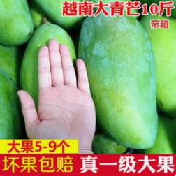 凭祥市超低价越南大青芒批发量大从优 包邮（可一件代发）