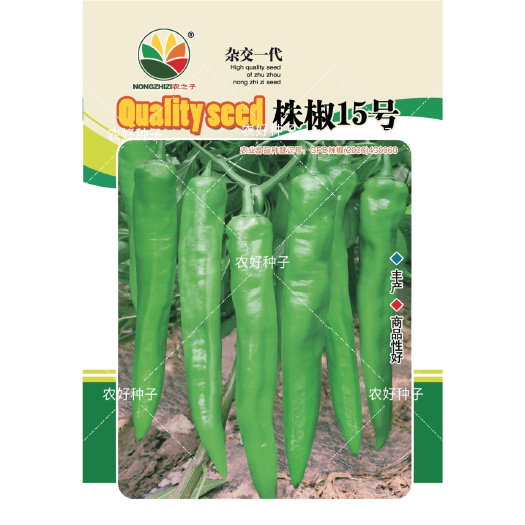 株洲牛角椒种子  株椒15号—中熟长牛角椒辣椒种子
