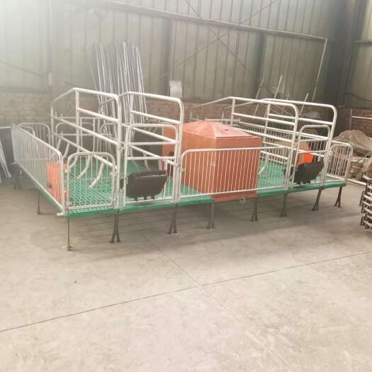 泊头市畜牧饲养设备 热镀锌复合产床双猪位整套猪设备厂家