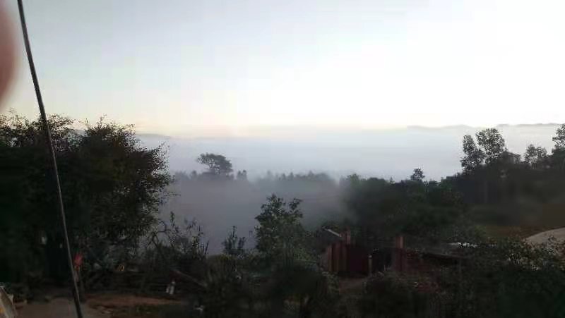 昌宁县 云南保山宅基地、经济林打包出转